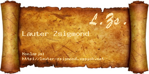 Lauter Zsigmond névjegykártya